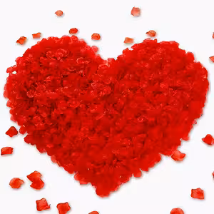 Umjetne crvene latice ruža – 500 komada za romantičnu dekoraciju, vjenčanje i Valentinovo